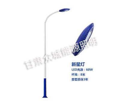 天山爆款市电路灯